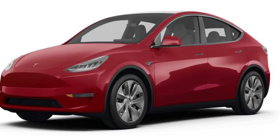 TESLA MODEL Y 2023 7SAYGDEE6PF766100 image